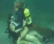 Scuba horny on the reef from sirba jalale new