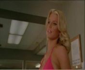 Jessica Simpson Dukes of Hazzard - Pink Bikini from jessica lovejoy the simpsons timothy lovejoy animated simpsons