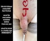 Censored for little dicks from permanent lingerie