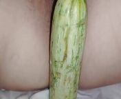 cucumber from indian bhabhi pussy cucumber