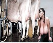 Lactation and milk from milking big boobs