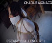 Charlie Monaco - Escape Challenge from Bondage ( GagAttack.NL ) from charlie mancini one rope escape challenge