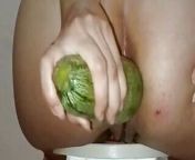 Fisrt time trying some vegetables on my asshole from mating for the first time