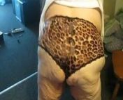 tiger print panties from tiger sex girl panty