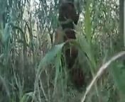 Indian pure Desi girls fucking Outdoors from pure desi clip