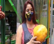 The Papaya from payai
