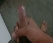 Porn tubes from indian gay tube video of desi