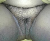 bengali hairy big pussy from bengali hairy pussy