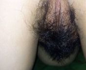 hairy pussy xxx from opo bissash xxx hairy pussy image