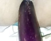 Penetrated by eggplant from indian desi hairy ass hole