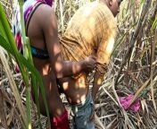 Indian Shemale - Two truck drivers and Shemale Pooja went to the Early this morning, sugarcane field Hard Fucking. from shemale desi girl