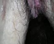 Renee's wet pussy and tight asshole fucked and cream pie from sex of fat sound ass