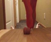 Ballbusting Devil from cock box trample
