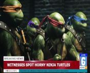 April O&apos;Neil Craves Ninja Turtle Cock from pargnea