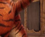 Big Tiger Cums Inside Twink Boy wCreampie (Furry Gay Sex) | Wild Life Furries from furry gay sex